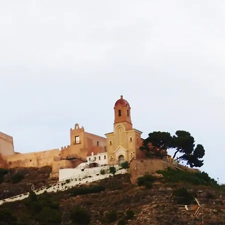 Lavanda Cullera